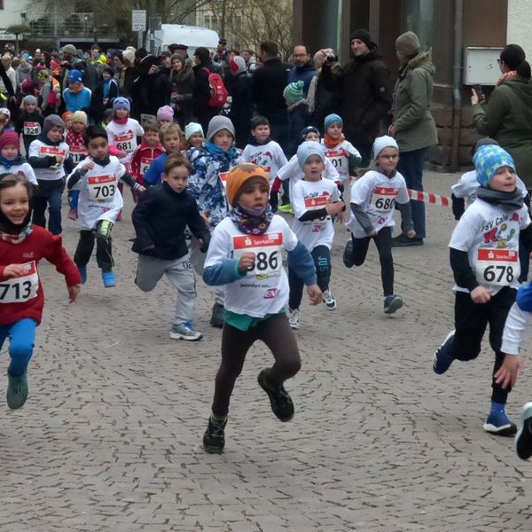 17. Calwer Hermann-Hesse-Lauf am 17. März 2018